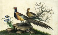 Lot 208 - Two pairs of Chinese pith paper paintings,...