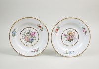 Lot 56 - A pair of English porcelain botanical side...