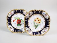 Lot 64 - A pair of Coalport botanical dessert plates,...