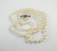 Lot 186 - A graduated cultured pearl necklace, with rose...