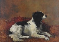 Lot 302 - British school, late 19th century Spaniel, oil...