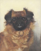Lot 303 - Monica F Gray (Exh.1898-1919) Pug, signed...