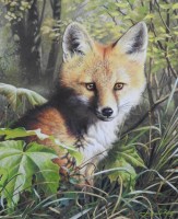 Lot 356 - Adrian Rigby (B.1962) Fox cub, signed lower...
