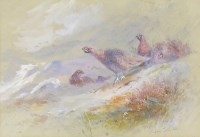 Lot 359 - James Stinton (1870-1961) Grouse on a hillside,...