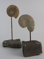 Lot 732 - Two ammonite fossils mounted on copper rods...