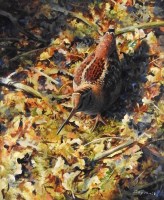 Lot 401 - Rodger McPhail (B.19530 Woodcock on leaves,...