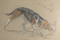 Lot 352 - British school, early 20th century, Fox hound...