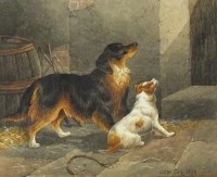 Lot 427 - Charles E Brittan (1837-1888), Two dogs in a...