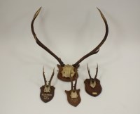 Lot 401 - A taxidermy group of four mounted trophy...