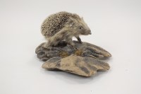 Lot 405 - A taxidermy baby hedgehog mounted on a tree...