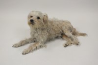 Lot 413 - A taxidermy white haired mixed breed dog lying...