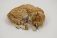 Lot 414 - A taxidermy ginger cat curled up asleep, 34cm...