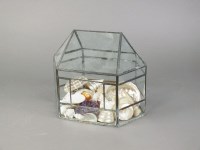 Lot 362 - A canted glass box containing assorted sea...